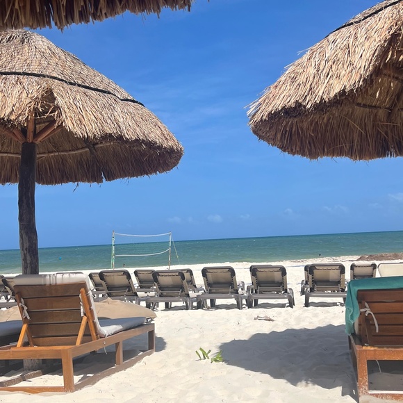 Lisa - Picture 1 of 1